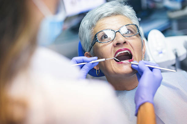  Heber, UT Holistic Dental Services Pros